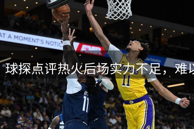 球探点评热火后场实力不足，难以冲击总冠军